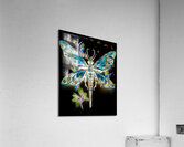 Invert Dragonfly Acrylic Print