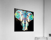 Eephant Acrylic Print