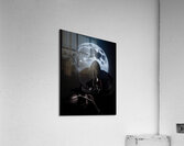 Black Orchid Acrylic Print