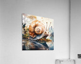 Snail Acrylic Print