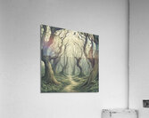 Woods Acrylic Print