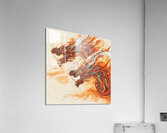 Dragon Fight Acrylic Print