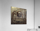 Spider Acrylic Print