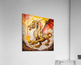 Dragon In The Sky Acrylic Print