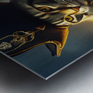 Pirate Cat Metal print