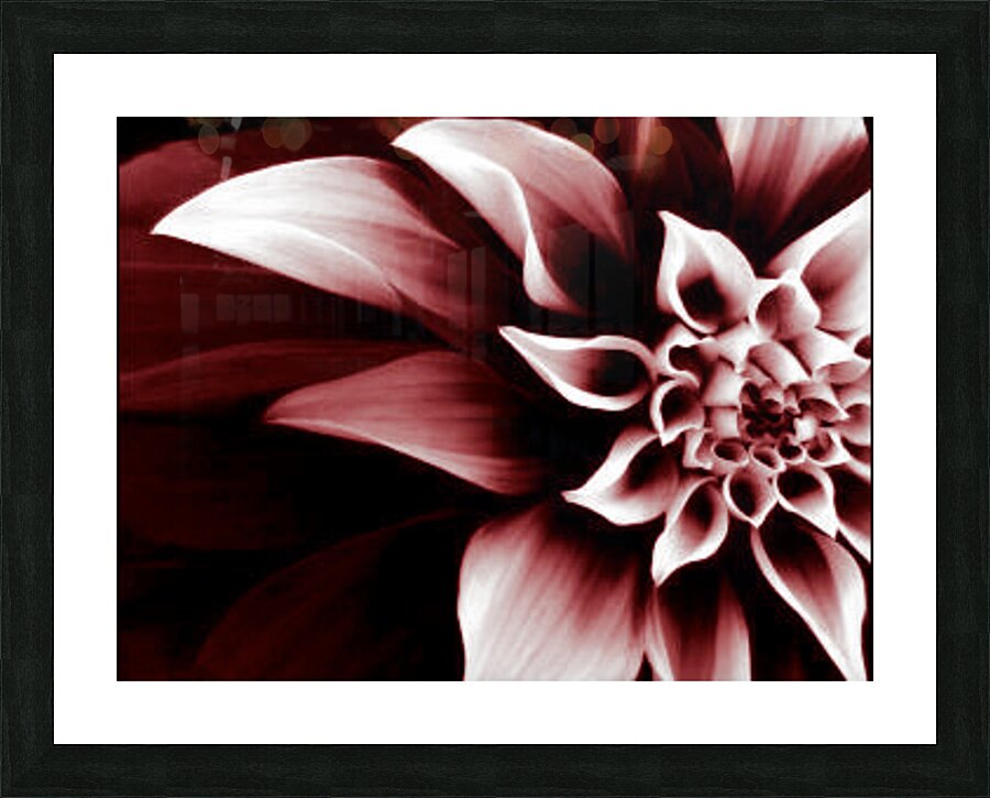 Red Goth Flower Picture Frame print