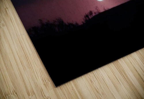 Eclipse 2024 Greta And Jade Fundraiser puzzle