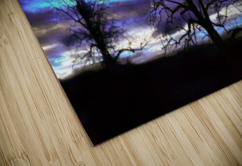 Night Moon Greta And Jade Fundraiser puzzle