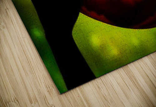 Dragon Egg Greta And Jade Fundraiser puzzle