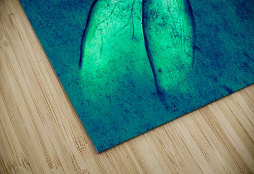 Green Dragonfly Greta And Jade Fundraiser puzzle