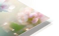 Blossom HD Metal print