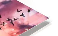 Freed HD Metal print