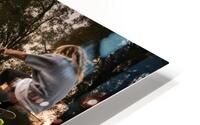 Board HD Metal print