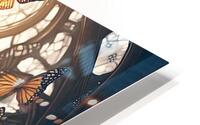 Butterfly Window HD Metal print