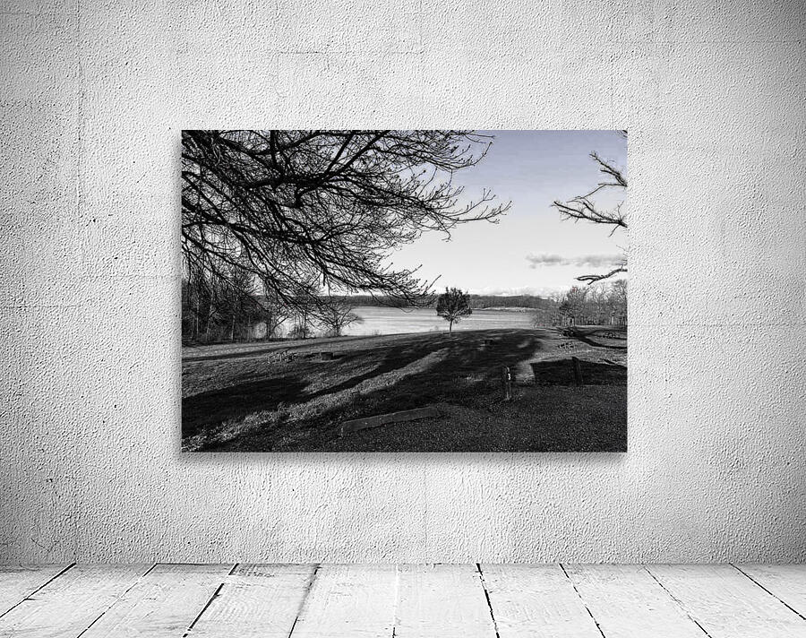 Pond Wall Preview