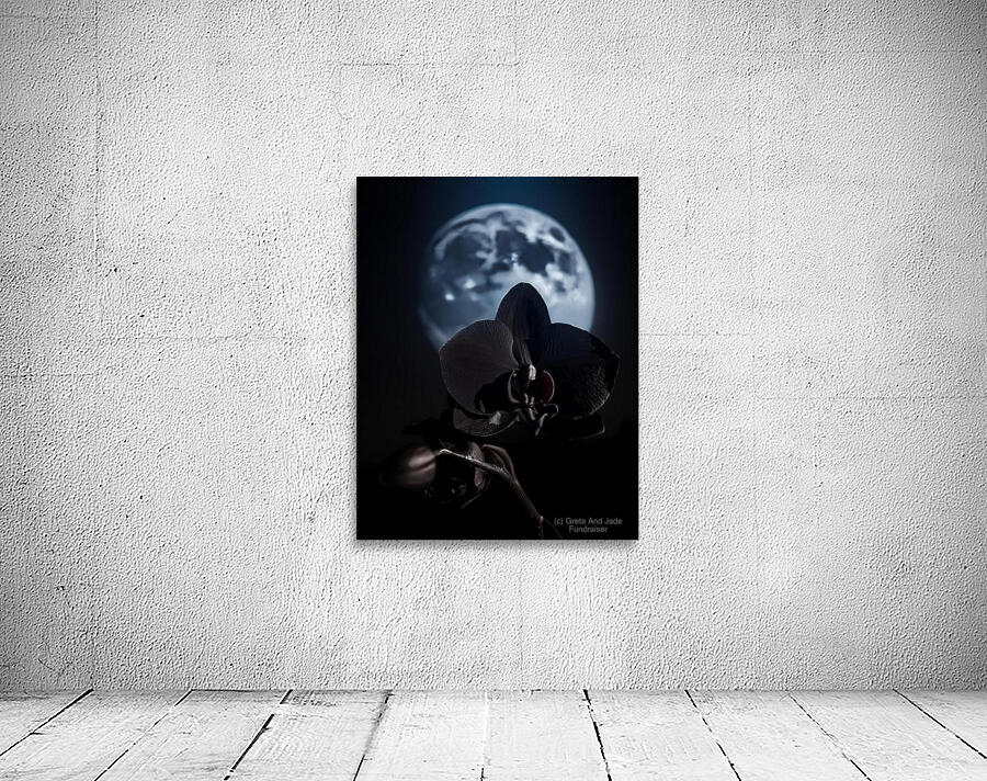 Black Orchid Wall Preview
