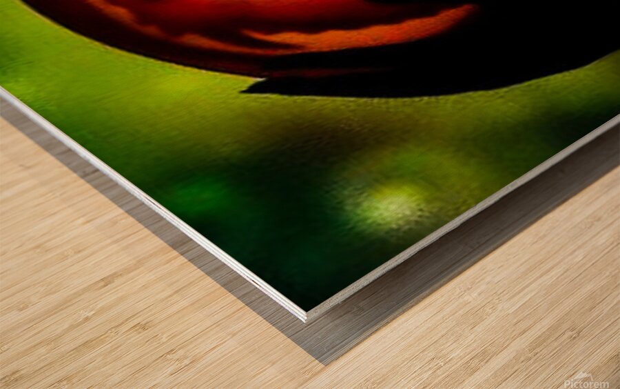 Dragon Egg Wood print