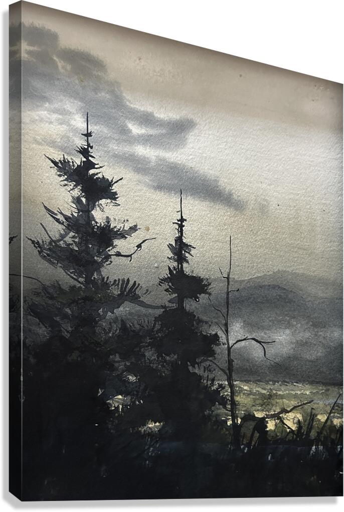 Above the Stillness Canvas Print