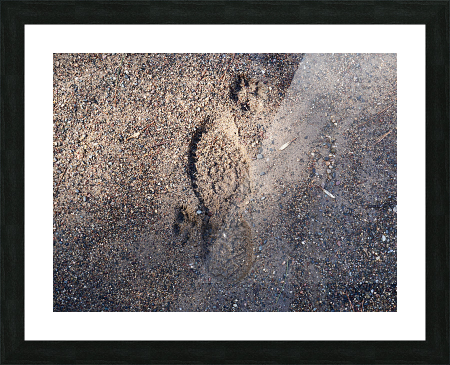 Mans Best Friend Picture Frame print