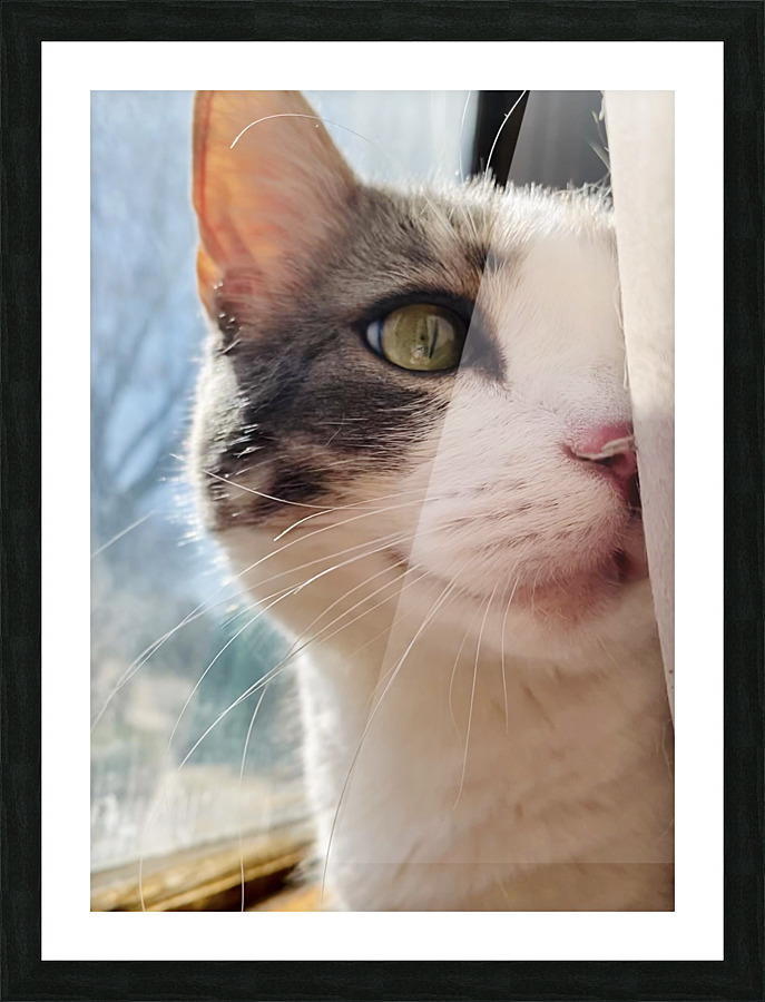 Shy Smile in the Sunshine Picture Frame print