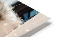 Shy Smile in the Sunshine HD Metal print