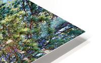 Lonely Pine Tree in the Clearing HD Metal print