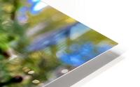 Fresh HD Metal print