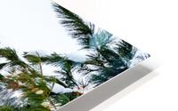 Seclusion HD Metal print