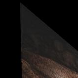 Sleeping Mountain Lions HD Metal print