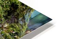 Green Forest Moss HD Metal print