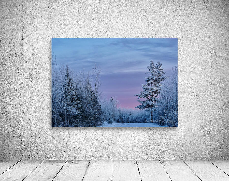 Winter Wonderland  Wall Preview