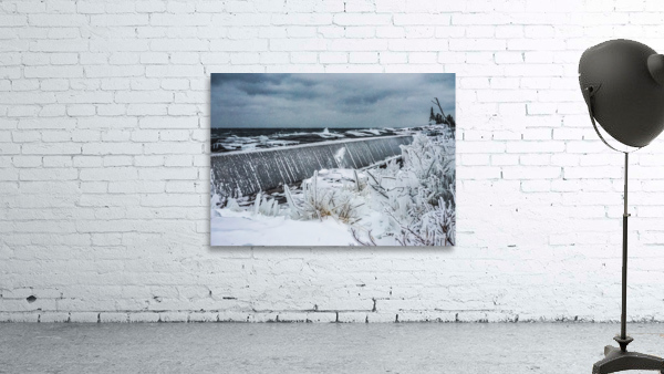 Saturnine Freeze Wall Preview