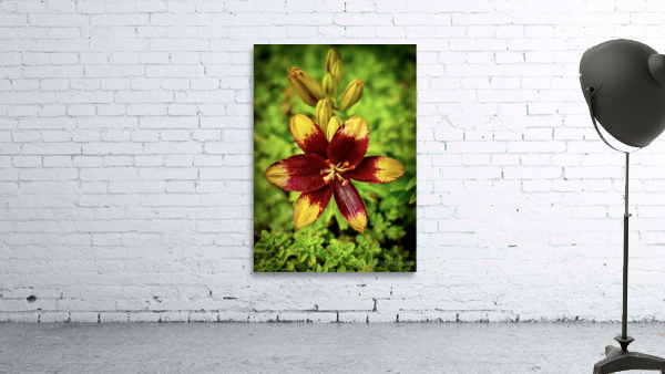 Summer in Full Bloom Wall Preview