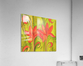 Orange lily´s Acrylic Print