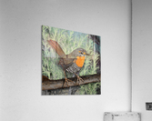 Chucao Acrylic Print