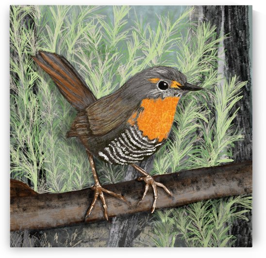Chucao by CLAUDIA BRANDES