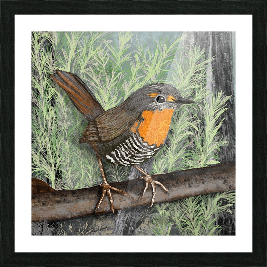 Chucao Picture Frame print
