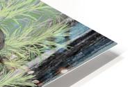 Chucao HD Metal print
