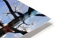 BERLIN_View 116 HD Metal print