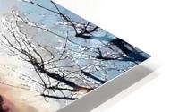 BERLIN_View 127 HD Metal print