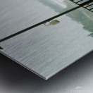 A Bird Near Niagara Falls Metal print