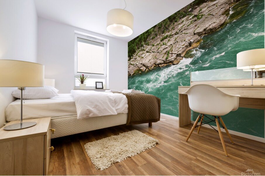 Whirlpool Rapids From Above Mural print