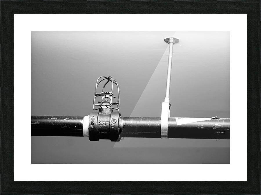 Sprinkler Head Picture Frame print