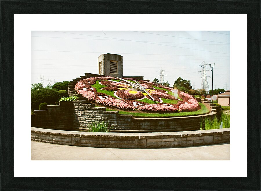 The Floral Clock Picture Frame print