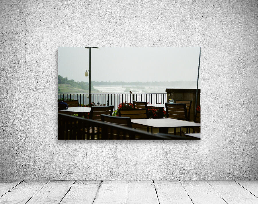 A Bird Near Niagara Falls Wall Preview