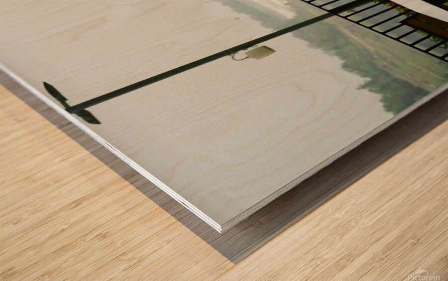 A Bird Near Niagara Falls Wood print