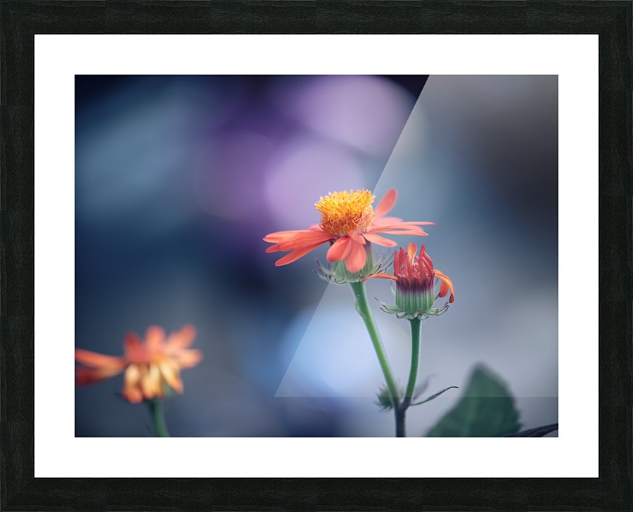 Fragility Picture Frame print