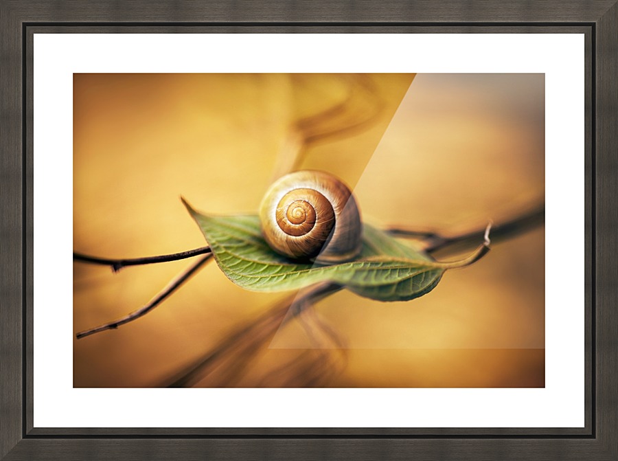 Serenity Picture Frame print