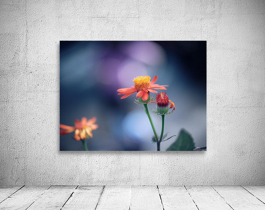 Fragility Wall Preview