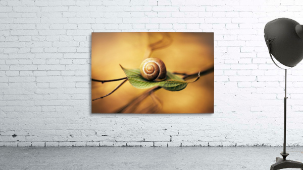 Serenity Wall Preview